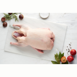 kologisk Dansk Landand fra Varde dal 3.000-3.300g.