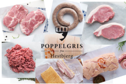 Den store kasse Poppelgris fra Hestbjerg