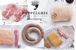 Den store kasse Poppelgris fra Hestbjerg