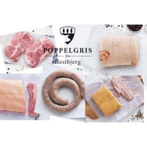 Den store kasse Poppelgris fra Hestbjerg